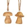 Natural Wood Mushroom Hangings