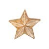Whitewashed Standing Star