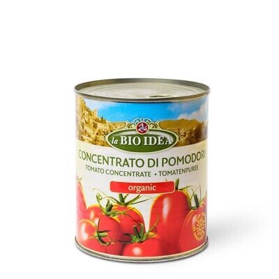Tomato Concentrate 890g