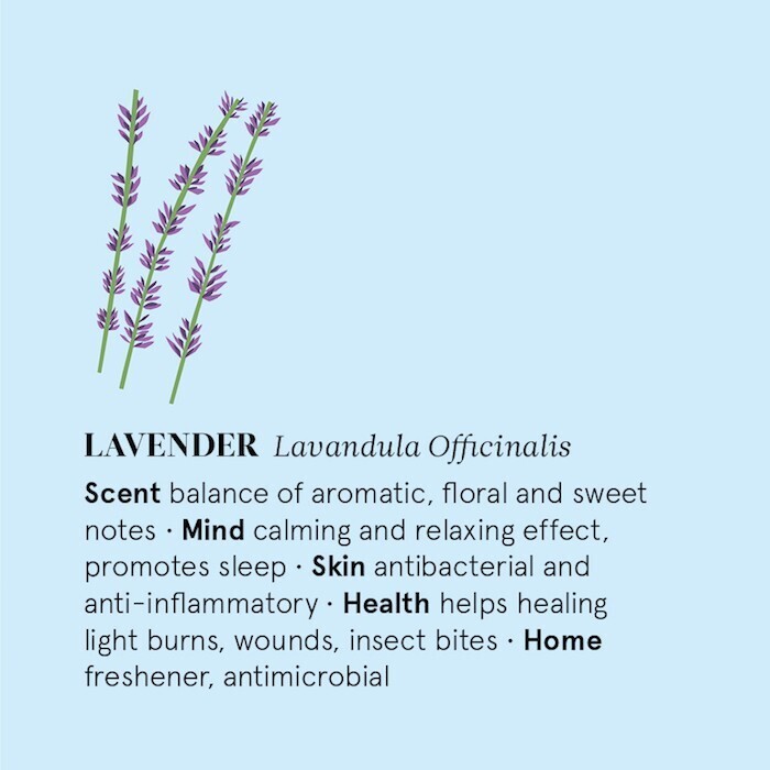 Lavender Mist Pillow - 20ml