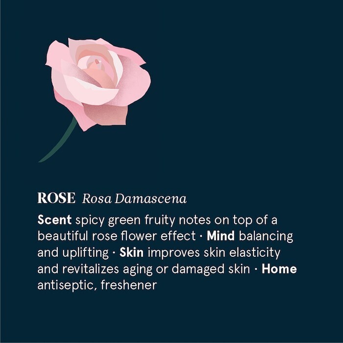 Rose Mist Pillow - 20ml