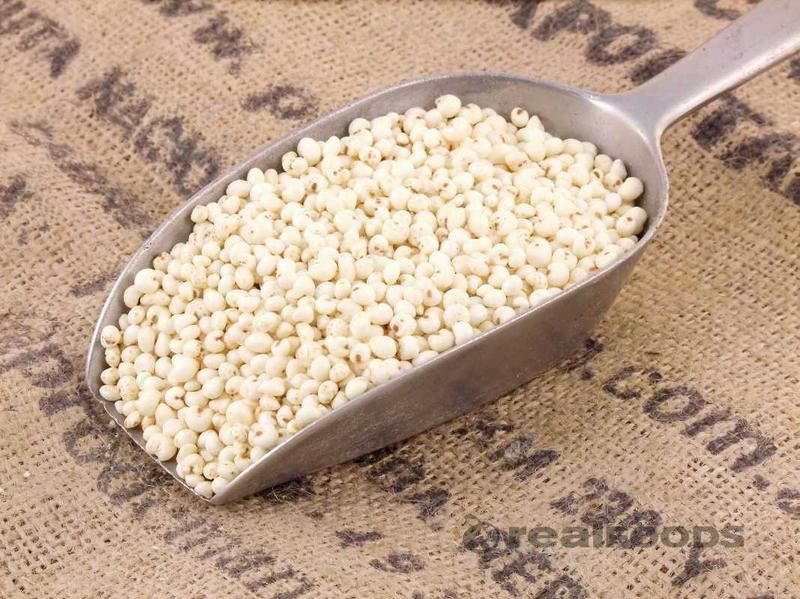 Organic millet puffs
