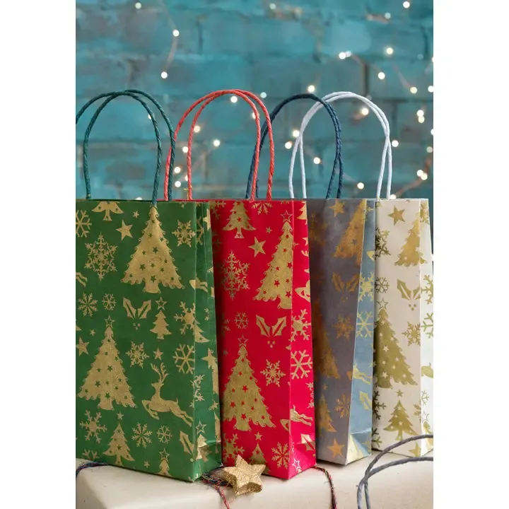 Christmas Lokata Paper Gift Bag