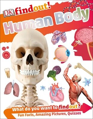 DK! Find Out! Human Body