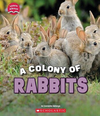 Danielle Denega A Colony of Rabbits
