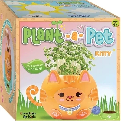 Creativity For Kids Plant A Kitty
