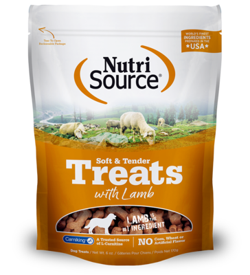 chewy nutrisource