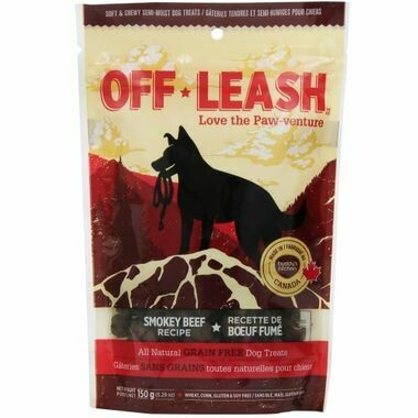 off leash mini trainers