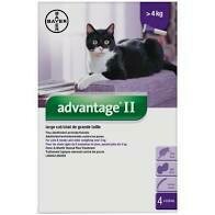 Bayer Advantage II Large Cats over 4kg - 4pk