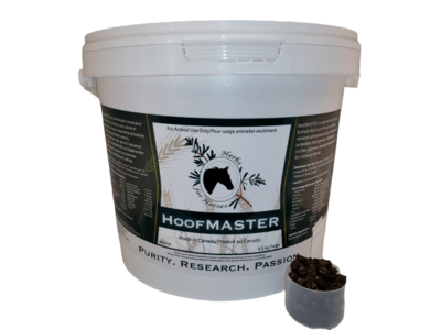 Herbs For Horses Hoofmaster 4 Kg Pellet - 133 days