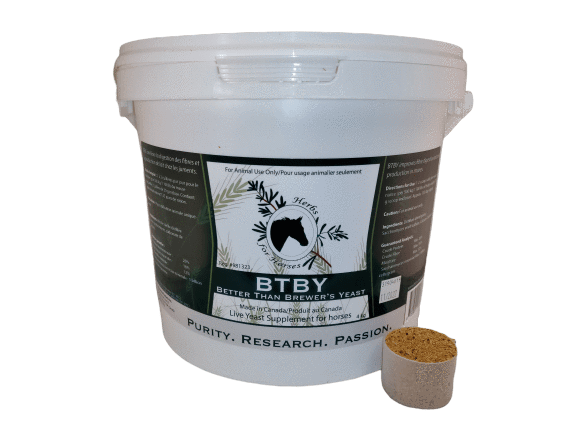 Equine Bait Horse Herb Supplement High in B Vitamins Brewers Yeast Powder 1kg