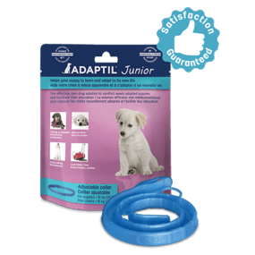 Adaptil Junior Calming Puppy Collar
