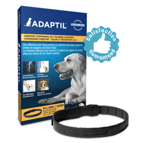 Adaptil MED-LG Calm On-the-Go Dog Collar