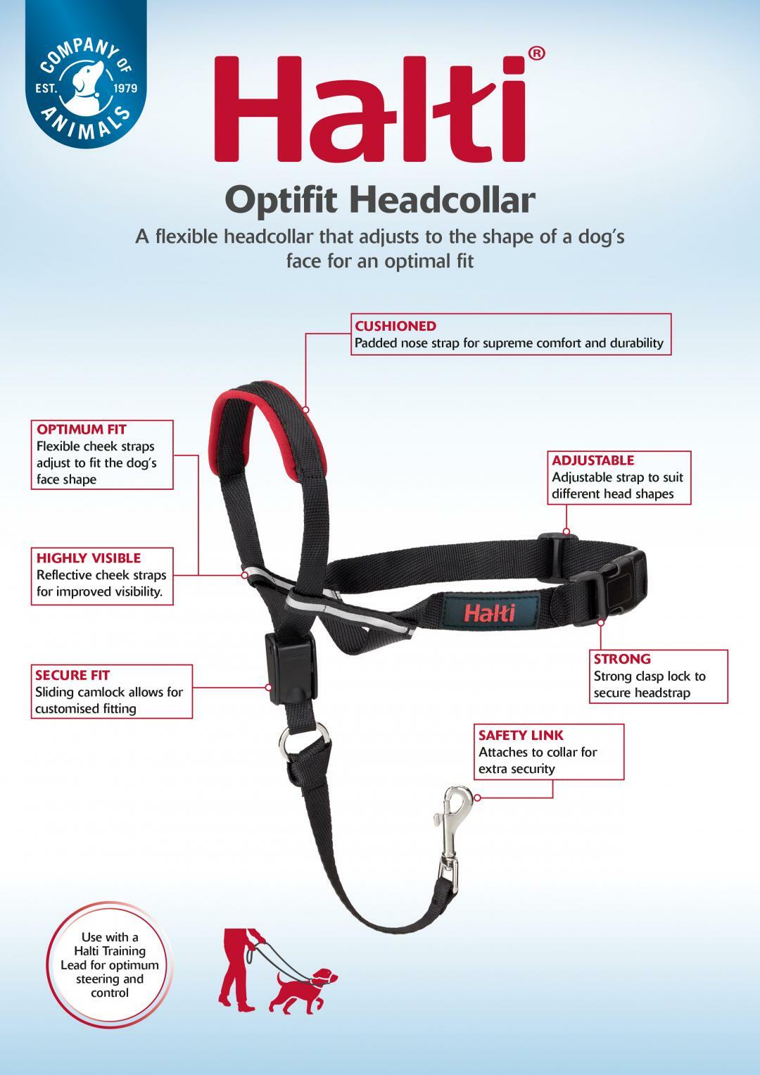 Halti safety best sale link