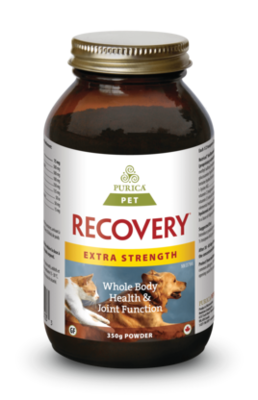 Purica Pet Recovery Extra Strength 350g Powder
