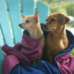Chilly Dogs Inc. Alpine Blanket