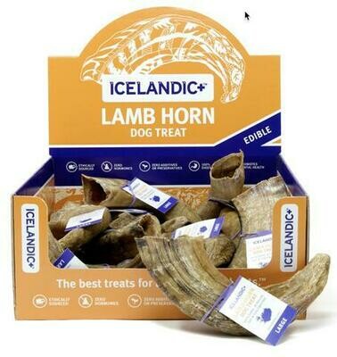 Icelandic+ Lamb Horn