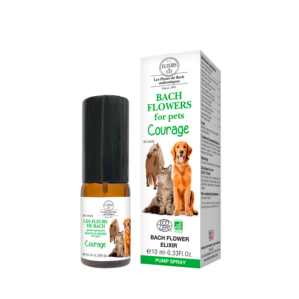 Bach Flowers For Pets Courage Elixir