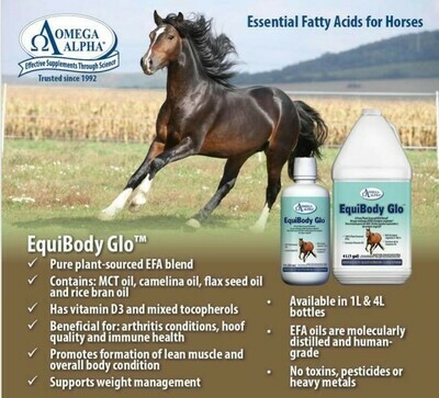 Omega Alpha Equine EquiBody Glo 4L