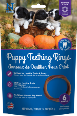 N-Bone Pumpkin Puppy Teething Rings