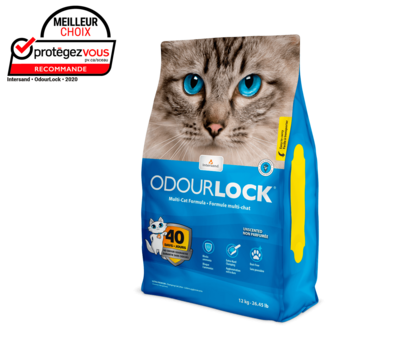 Intersand Odourlock Ultra Premium Unscented Clumping Cat Litter