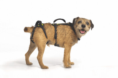 Help Em Up Small Conventional Harness