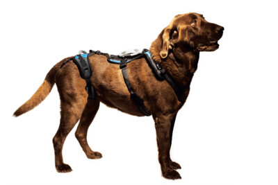 Help Em Up Large Conventional Harness