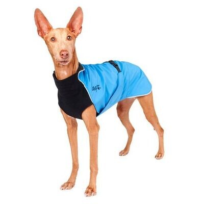 Chilly Dogs Blue Jay Harbour Rain Slicker