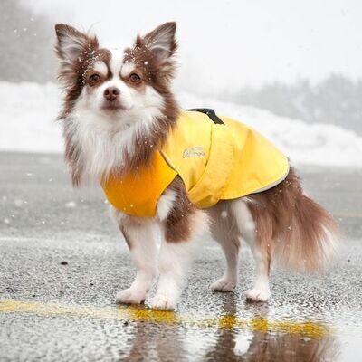 Chilly Dogs Duckling Harbour Rain Slicker