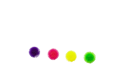 Bud'Z Coloured Hedgehog Balls