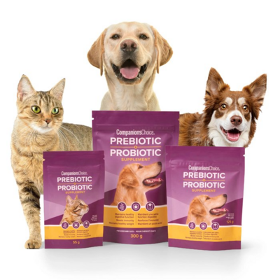 Companions Choice Prebiotic Probiotic Paste for Dog 30ml