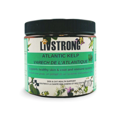 LIVSTRONG Atlantic Kelp Powder