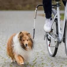 Trixie Biker Dog Set L-Form Small/Med