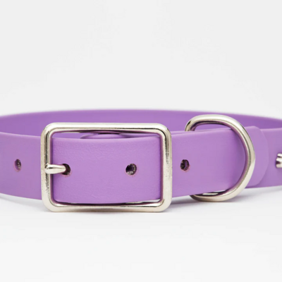  Hotdogs Vegan Leather Collar - Violet