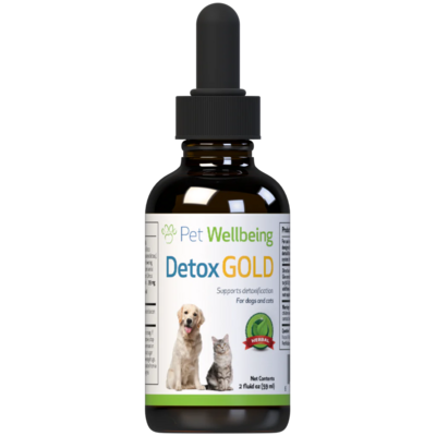PetWellbeing Detox Gold for Dogs & Cats