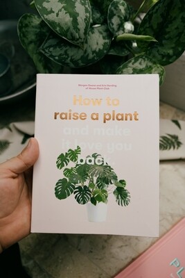 how to raise a plant and have it love you back 