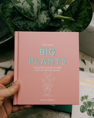 little book of big plants