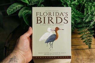 florida's birds