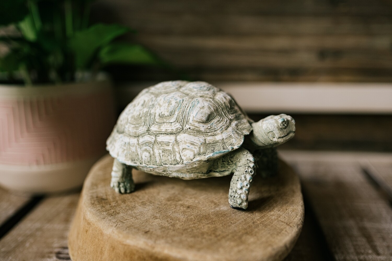 resin turtle