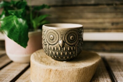 md owl pot