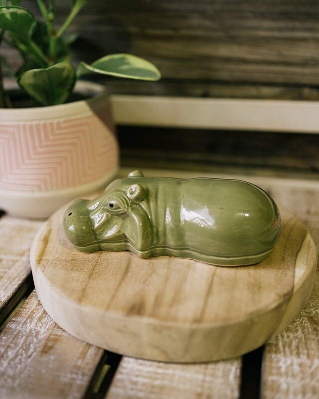 lg floating hippo