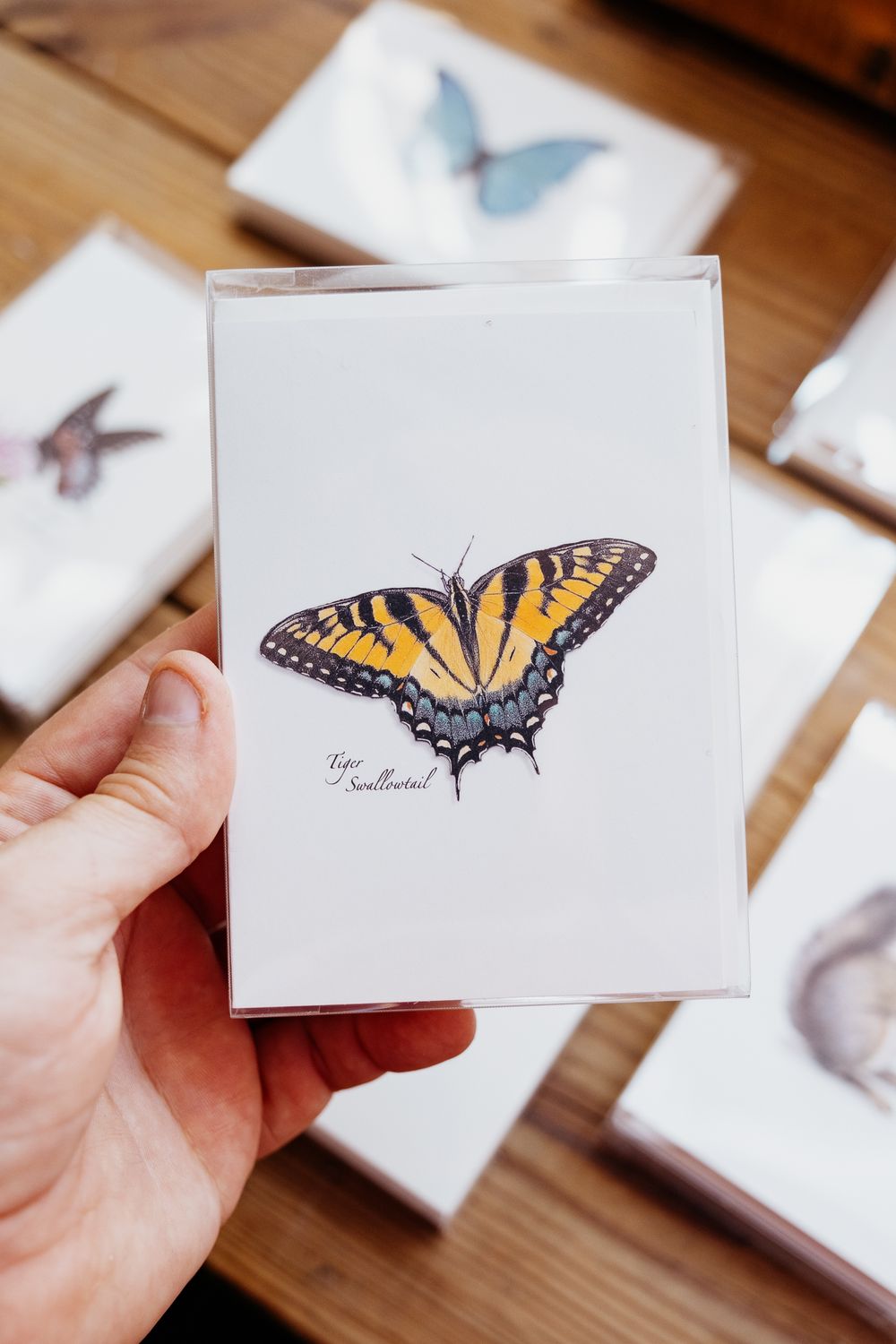 nature notecards