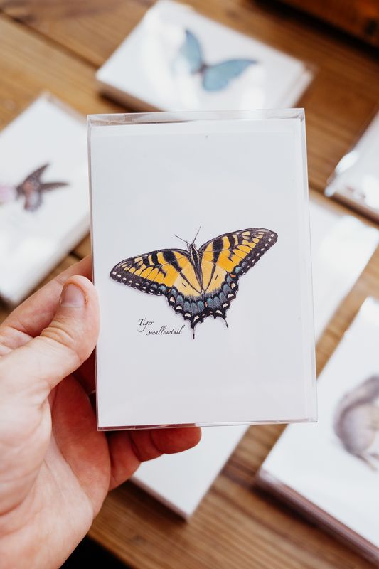 nature notecards