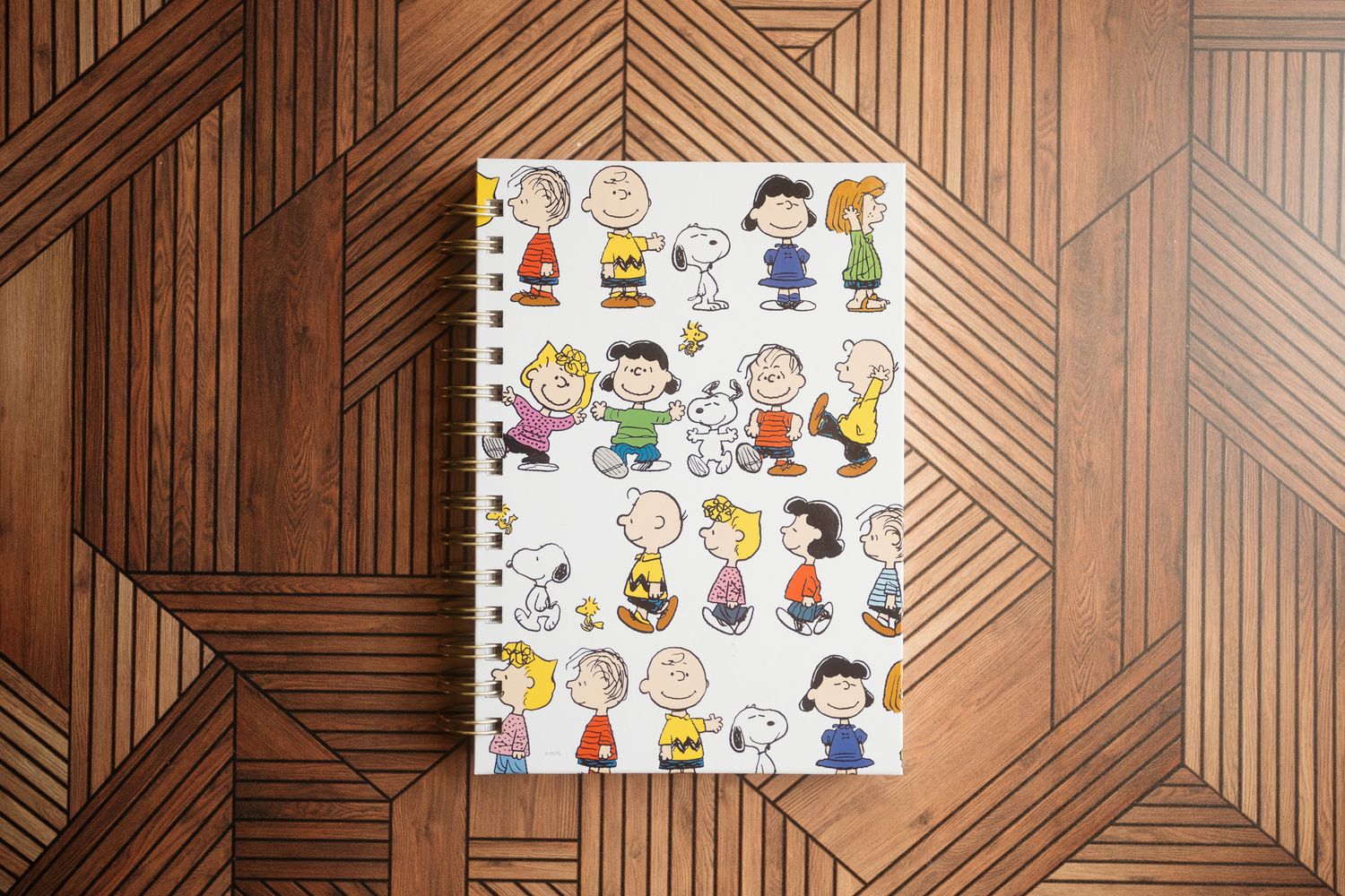 peanuts spiral notebook