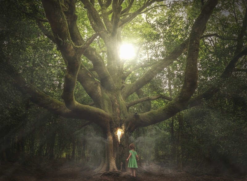 Class - Sacred Trees - March 21st Class - Sacred Trees - March 21st