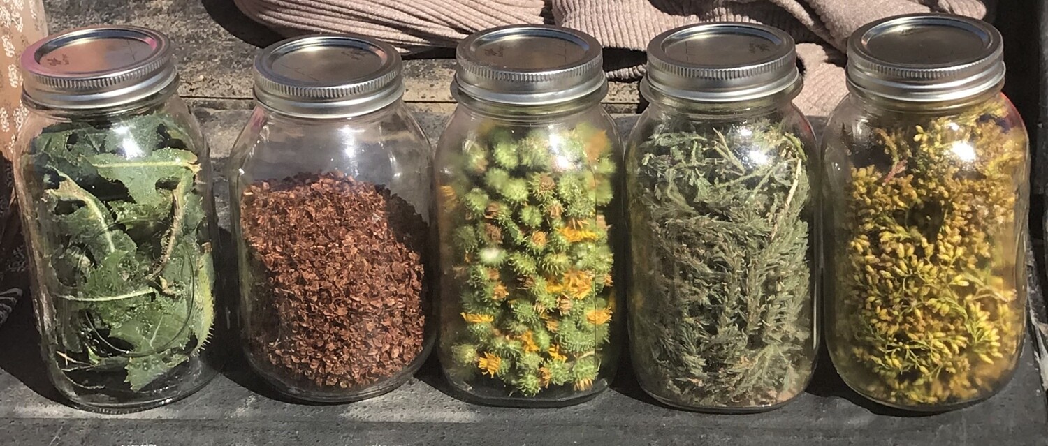 Class - Exploring Herbalism - April 25th Class - Exploring Herbalism - April 25th