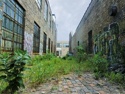 Class - Alley Herb Walk - May 22nd - 2-4pm Class - Alley Herb Walk - May 22nd - 2-4pm