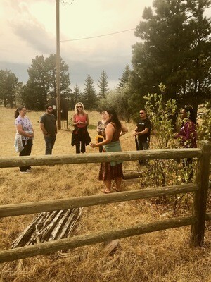 Evening Herb Walk in Lion's Park - June 4th - 7pm - 8:30pm Evening Herb Walk in Lion's Park - June 4th - 7pm - 8:30pm