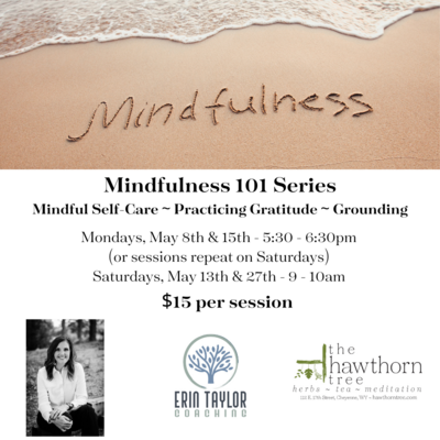 Mindfulness 101 Series with Erin Taylor