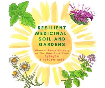 Class - Resilient Medicinal Soil and Gardens - Amy Kousch - March 24th - 2 - 4:30pm